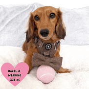 Trail & Glow Tweed Dog Harness - Oxford Tweed: M
