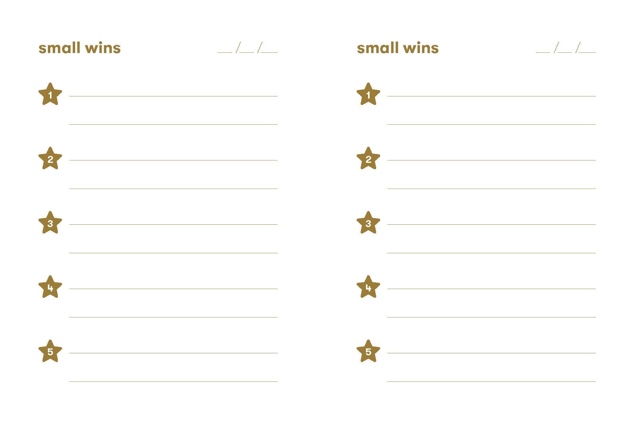 Small Wins - A Journal to Celebrate Your Mini Milestones (Diary or Journal)