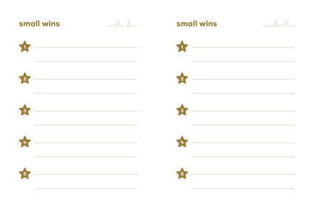 Small Wins - A Journal to Celebrate Your Mini Milestones (Diary or Journal)
