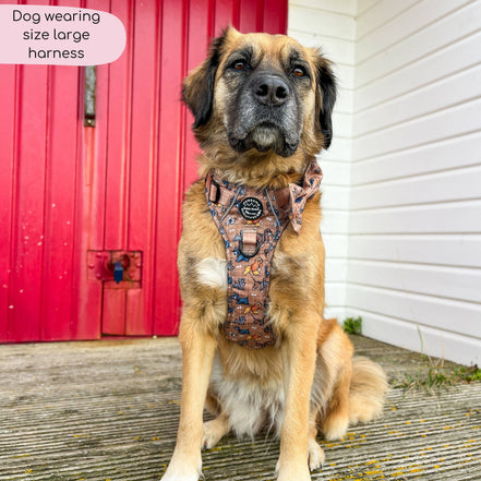 Disney© Tough Trails™ Harness - Disney Dogs: M
