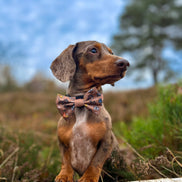 Disney© Bow Tie - Disney Dogs: Regular