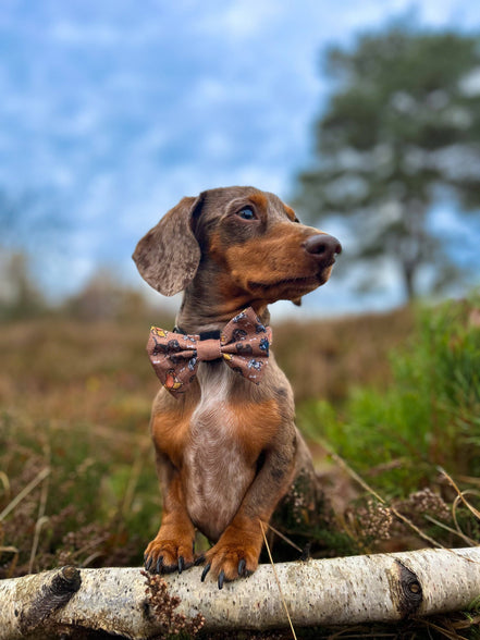 Disney© Bow Tie - Disney Dogs: Regular