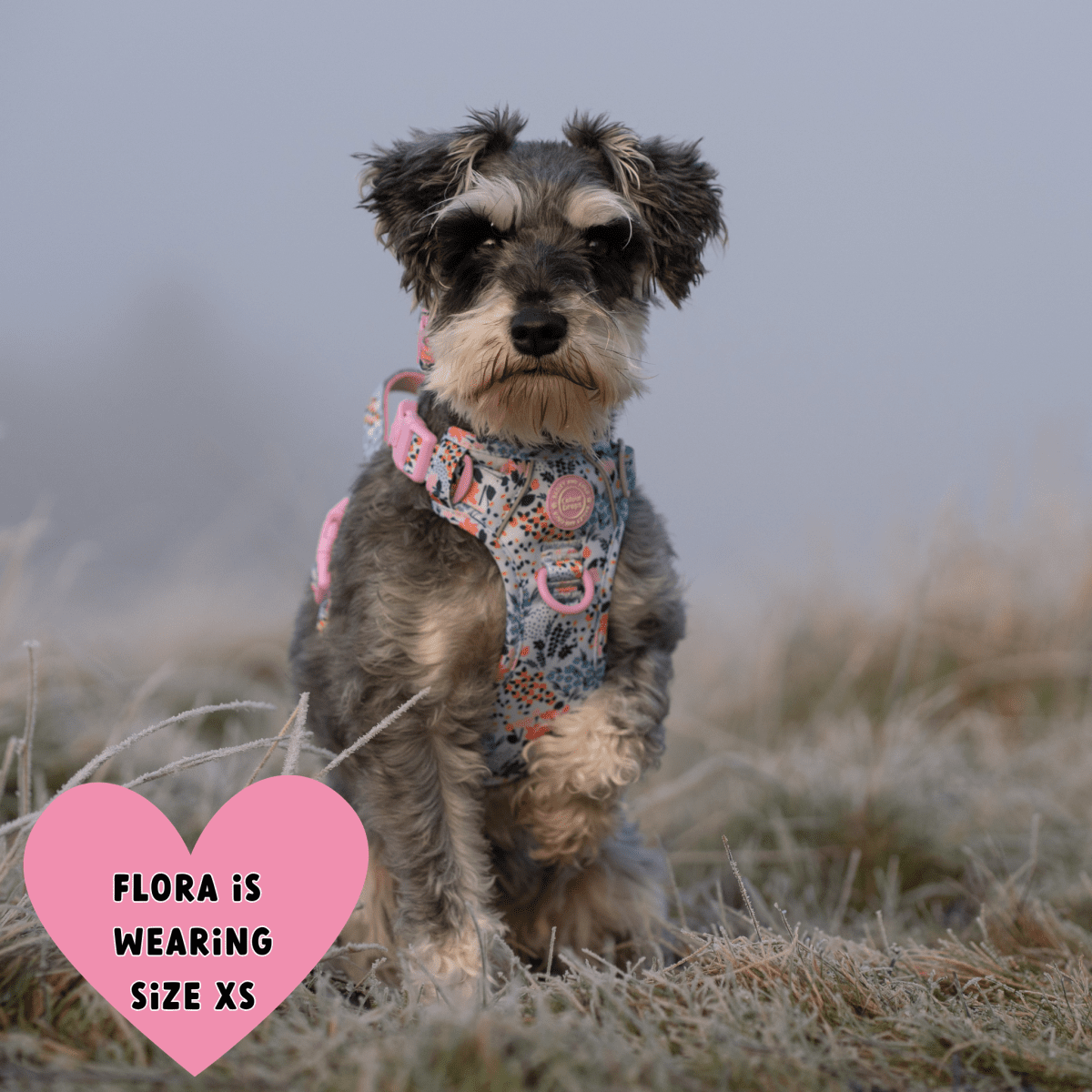 Floral Dog Harness - Colour Drops - Spring Dreams: S