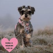 Floral Dog Harness - Colour Drops - Spring Dreams: M