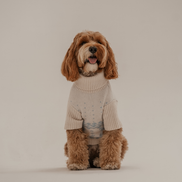 Ice Blue | Après Ski Roll Neck Knit: XS