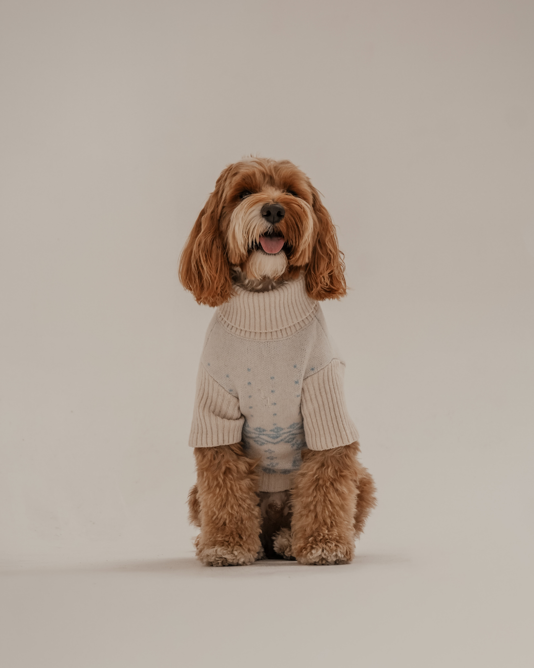 Ice Blue | Après Ski Roll Neck Knit: XS