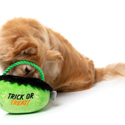 Franken Basket - Dog Toys