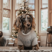 Ice Blue | Après Ski Roll Neck Knit: XS