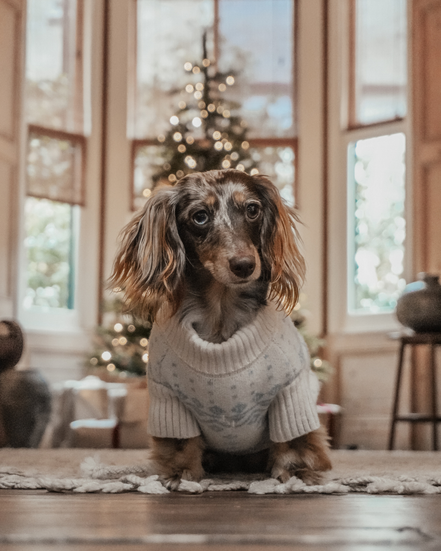Ice Blue | Après Ski Roll Neck Knit: XS/S