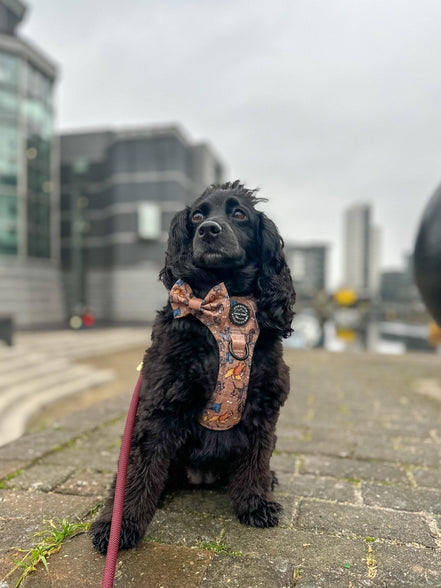 Disney© Bow Tie - Disney Dogs: Regular