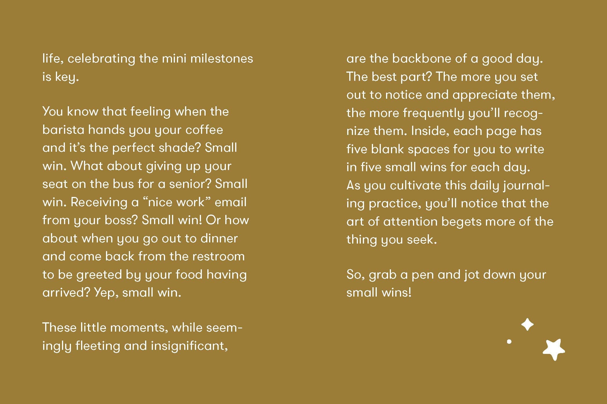 Small Wins - A Journal to Celebrate Your Mini Milestones (Diary or Journal)