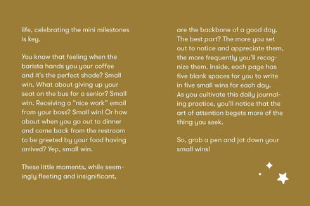 Small Wins - A Journal to Celebrate Your Mini Milestones (Diary or Journal)