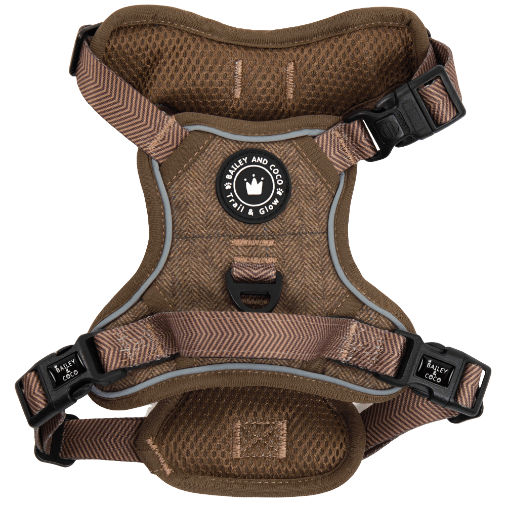 Trail & Glow Tweed Dog Harness - Oxford Tweed: XS