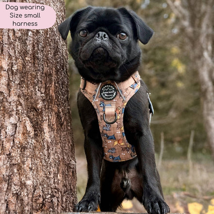 Disney© Tough Trails™ Harness - Disney Dogs: M