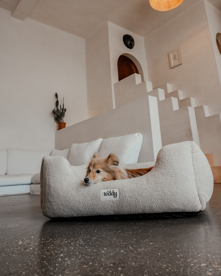 The Cosy Bed