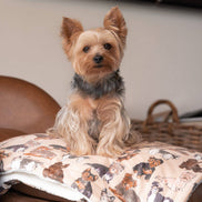 Yorkie Dog Blanket