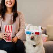 Hollywoof D3-Dog Glasses Dog Toy