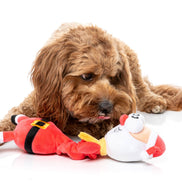 Saint Neckolas - Dog Toys