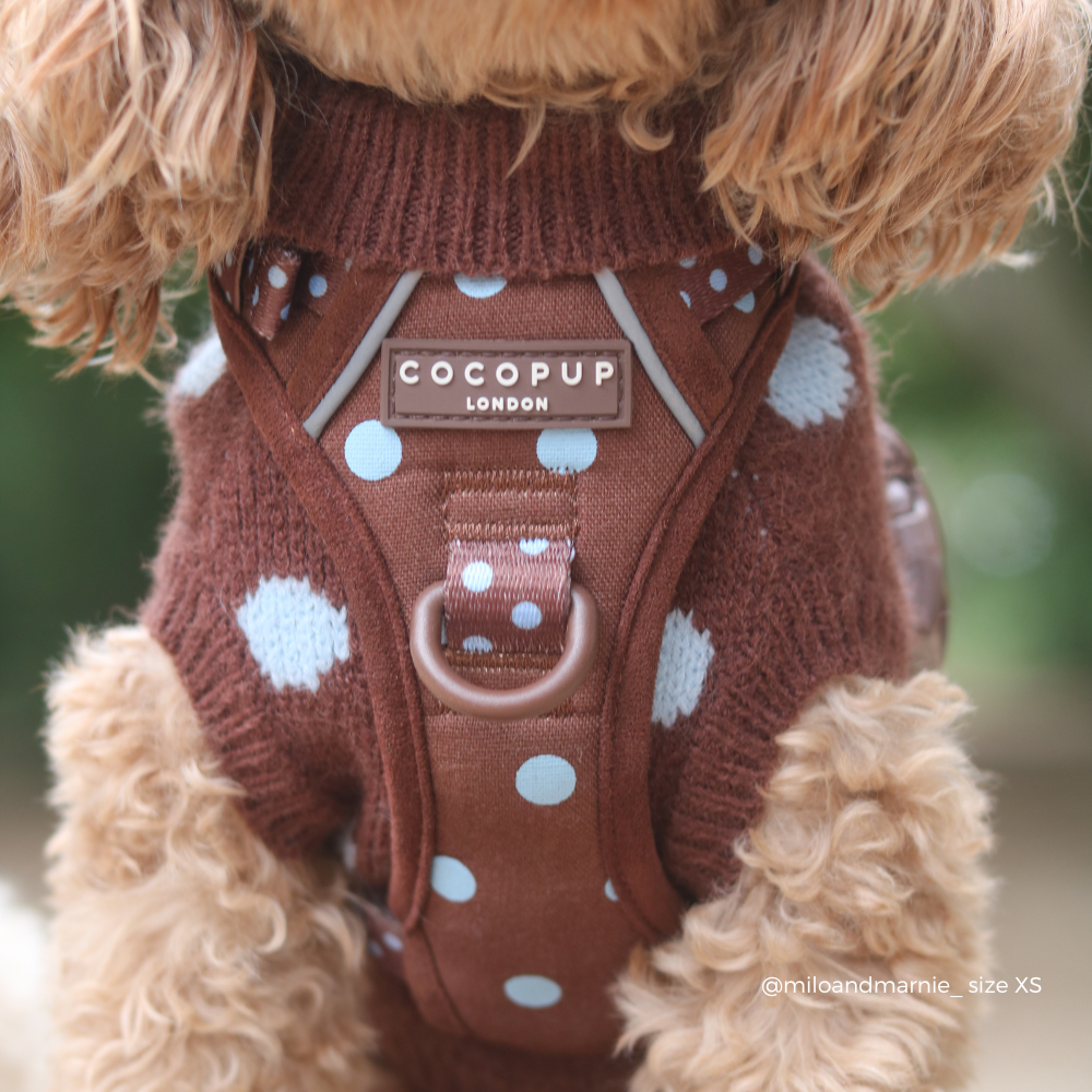 Explore Harness - Biscotti Blue: XS