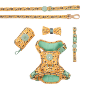 Trail & Glow Dog Harness Bundle Set - Colour Drops - Wanna-Bee: L / L