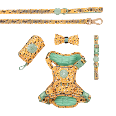 Trail & Glow Dog Harness Bundle Set - Colour Drops - Wanna-Bee: XS / XS