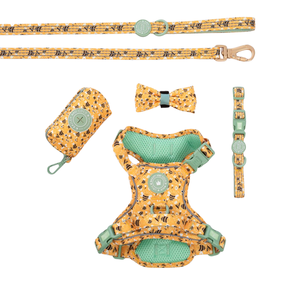 Trail & Glow Dog Harness Bundle Set - Colour Drops - Wanna-Bee: S / S
