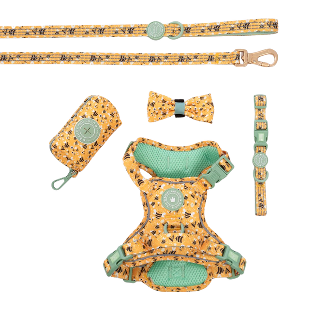 Trail & Glow Dog Harness Bundle Set - Colour Drops - Wanna-Bee: S / S