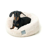 Dreameazzzy Cuddler Bed - Winter Cream: Medium / Size