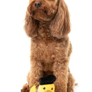 Timotheé Chalaquack - Dog Toy: Small