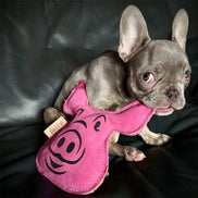 Eco Dog Toys By Miro & Makauri - Patrick Pig: Patrick