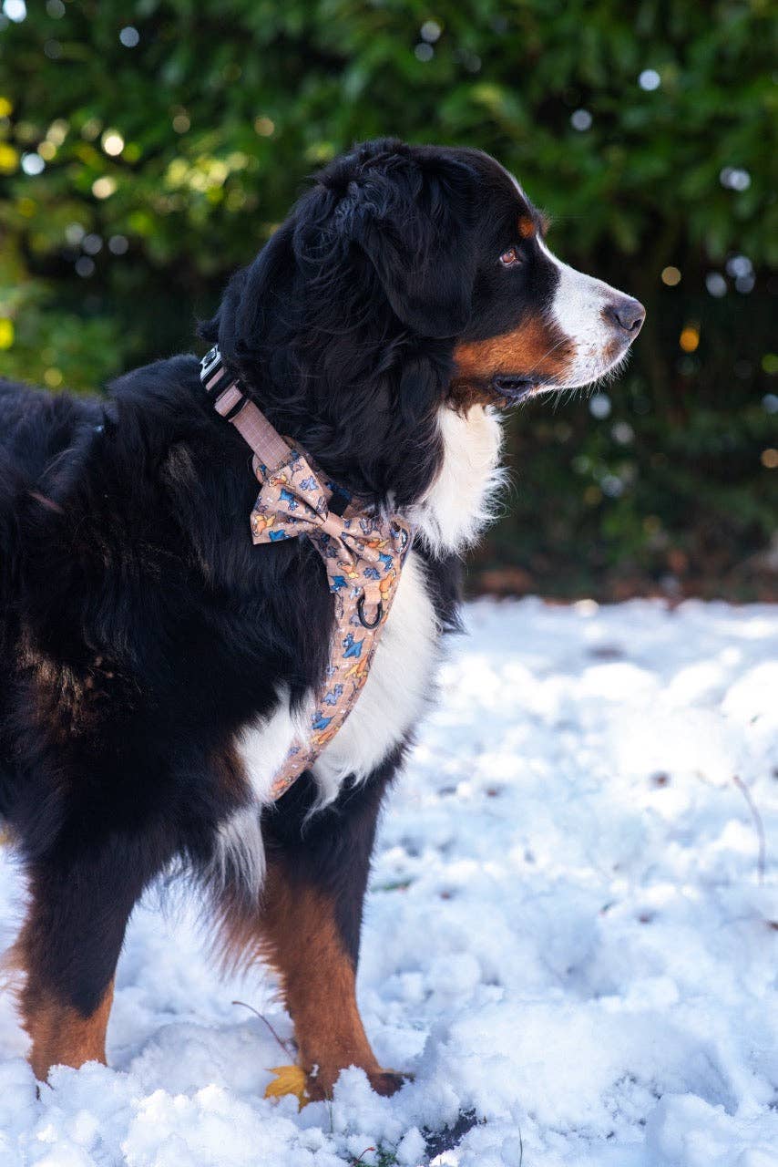 Disney© Bow Tie - Disney Dogs: Regular