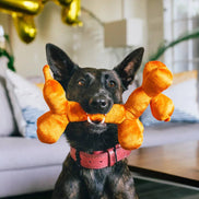 Party Animal - Balloon Dog Buddy