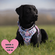 Floral Dog Harness - Colour Drops - Spring Dreams: S