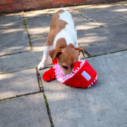 ÖRVA Snuffle Noodle Lobster -Dog Enrichment Toy