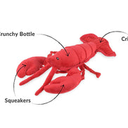 Ocean Buddies - Lobster