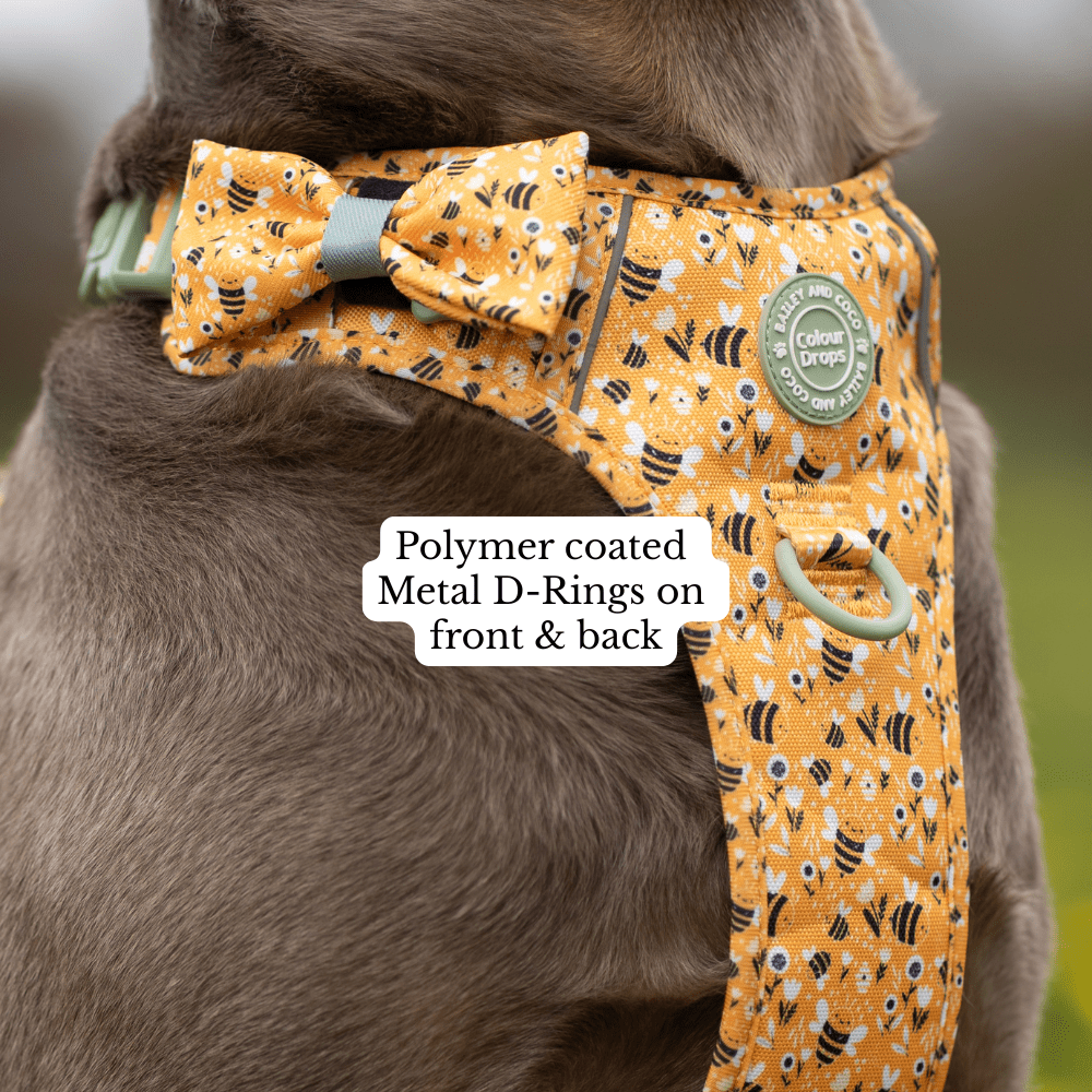Trail & Glow Dog Harness Bundle Set - Colour Drops - Wanna-Bee: L / L