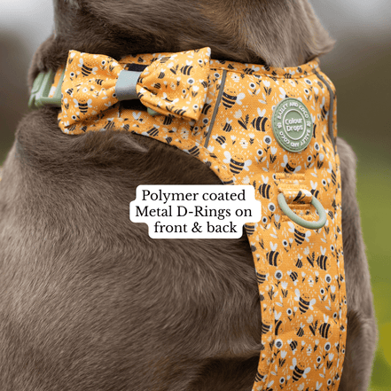 Trail & Glow Dog Harness Bundle Set - Colour Drops - Wanna-Bee: L / L