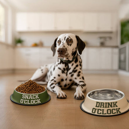 Feeder and Waterer "Snack O'Clock, Drink O'Clock"