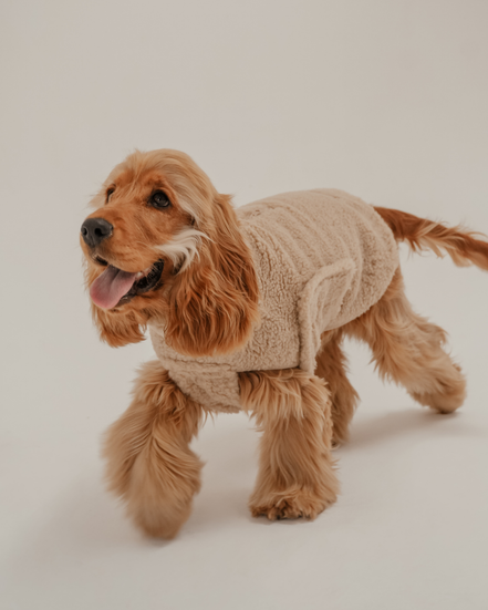 The Capsule Cosy Coat: XS