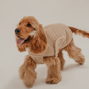 The Capsule Cosy Coat: S