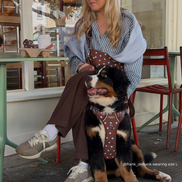 Crossbody Crescent Dog Walking Bag - Biscotti Blue