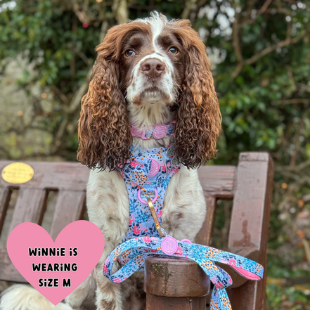 Floral Dog Harness - Colour Drops - Spring Dreams: S