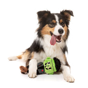 Igor Halloween  - Dog Toy