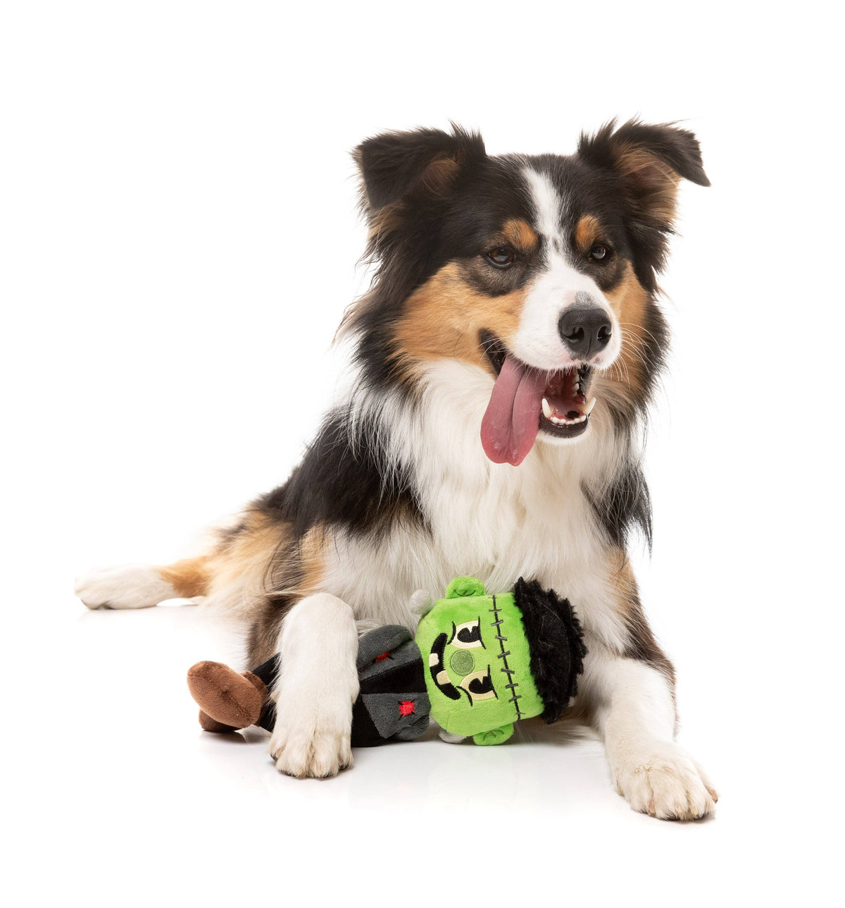 Igor Halloween  - Dog Toy