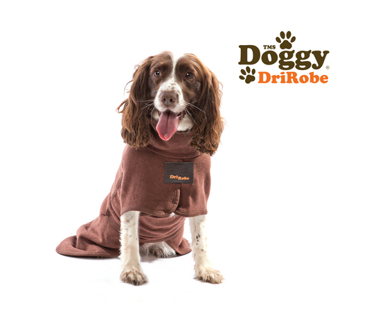 Doggy DriRobe