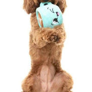 Croissant & Cappuccino 2PK - Dog Toy