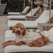 Hazelnut Stripe | The Cosy Cloak Drying Robe: XS