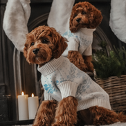 Ice Blue | Après Ski Roll Neck Knit: S/M