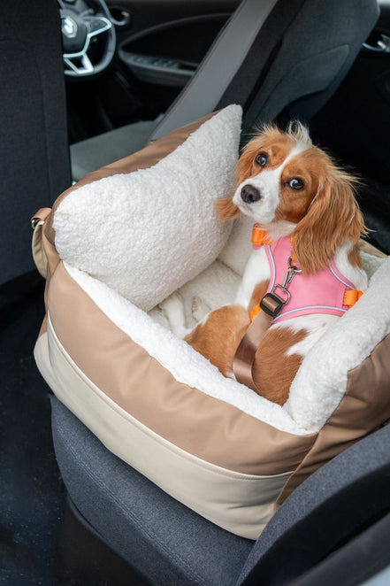 Car Seat Bed: Cafe Latte