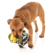 Commanduck - Dog Toy